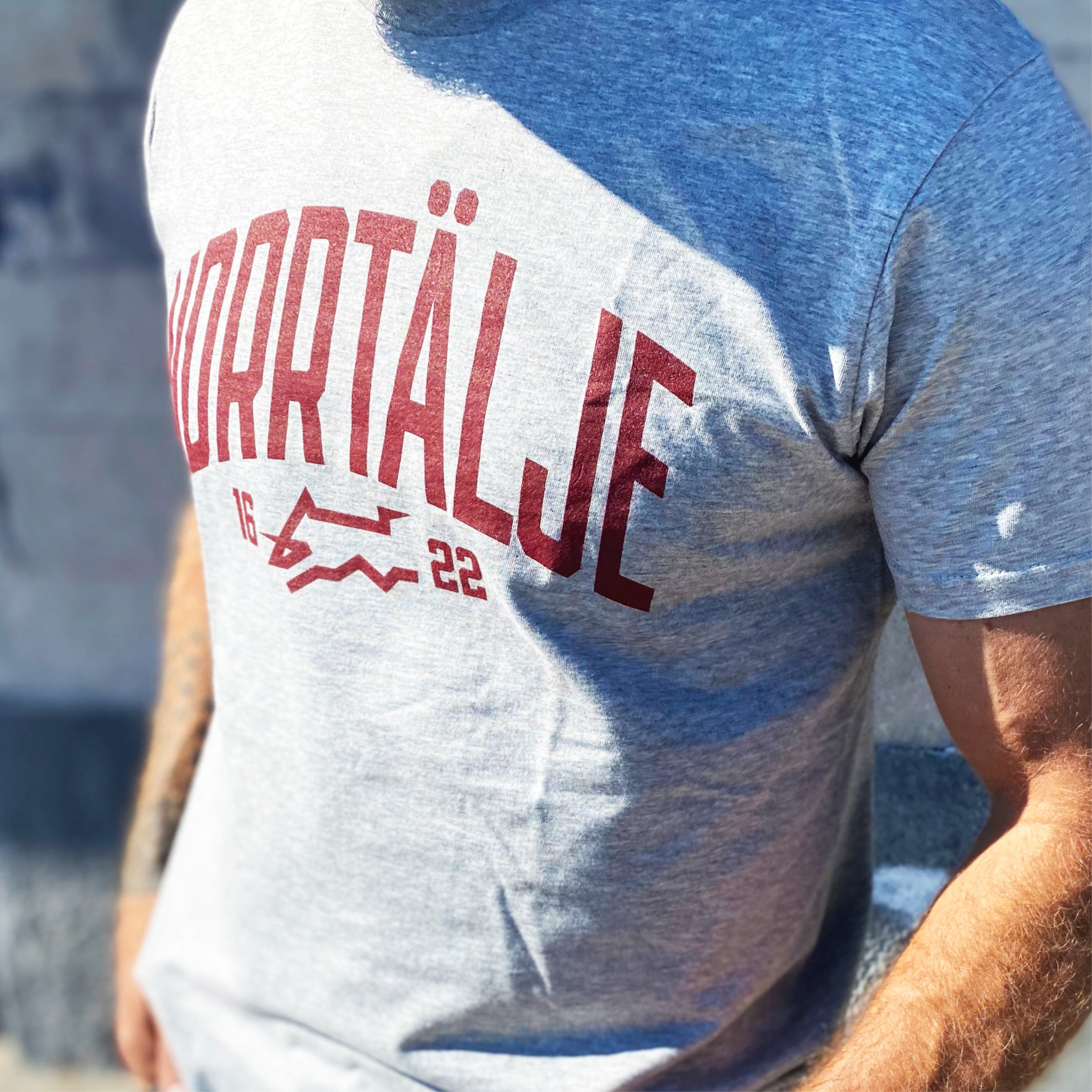 Norrtälje 1622 T-shirt, grå